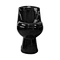 One piece toilet black ceramic Sanitary ware Siphonic S trap 300mm soft closing High pressure
